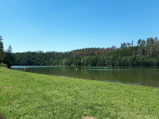20190704_110116.jpg