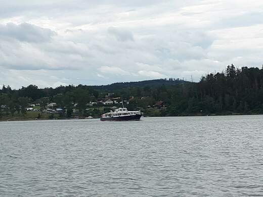 20200702_113420.jpg